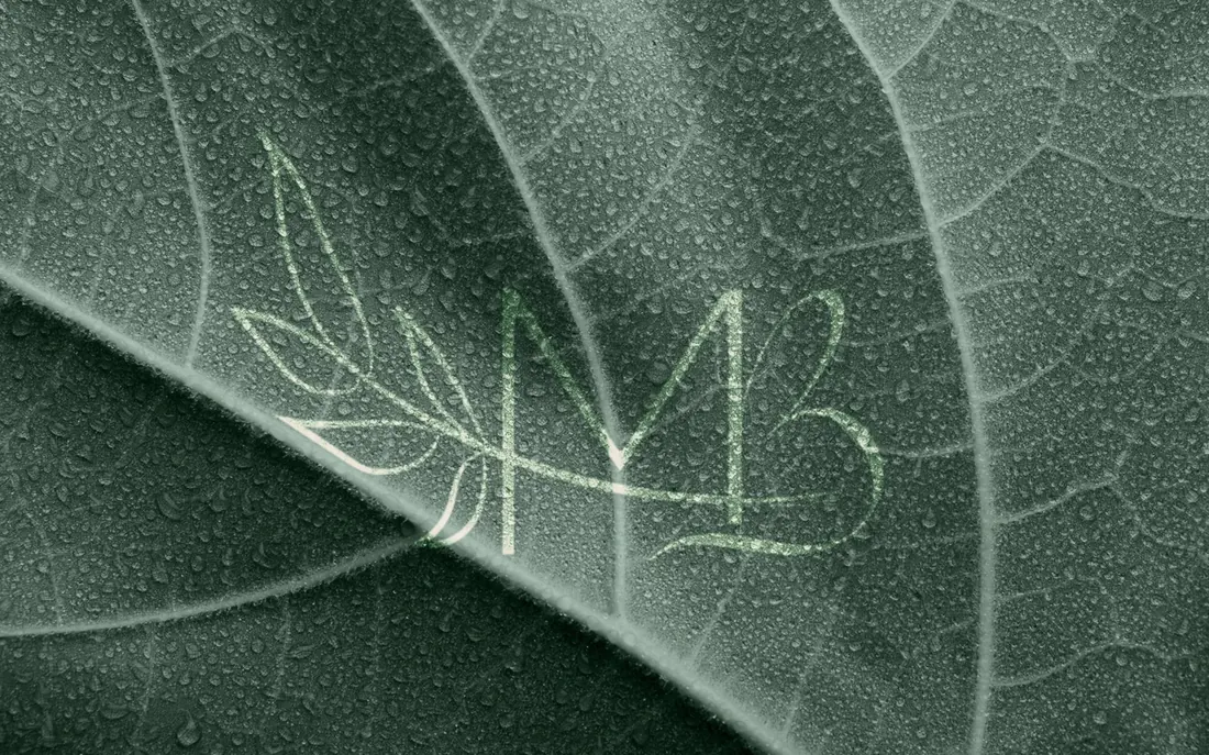 Monograma MB aplicado sobre a textura de uma folha verde com gotas de orvalho